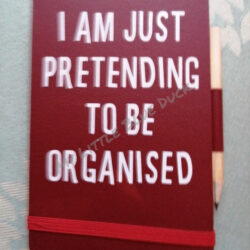 I am just pretending to be organised small notebook with pencil